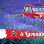 Le Lavandou