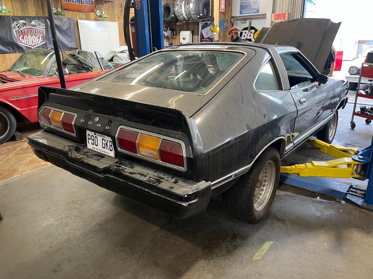 FORD MUSTANG II 1977 - Fitzback Garage
